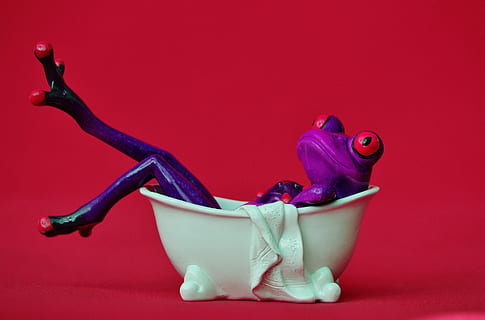 frog, bath, swim, relaxation, funny, body care, figure, cute HD wallpaper