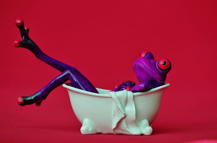 frog, bath, swim, relaxation, funny, body care, figure, cute HD wallpaper
