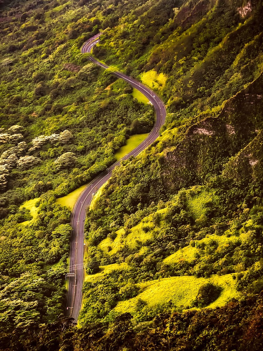 road, nature, forest, trees, aerial view, environment, highway HD wallpaper