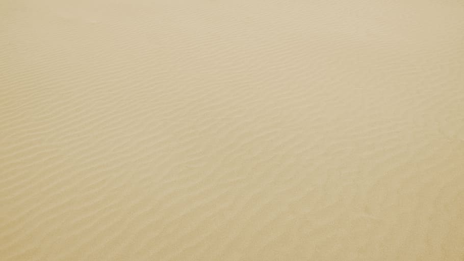 untitled, white, sand, beach, coast, nature, outdoor, backgrounds HD wallpaper