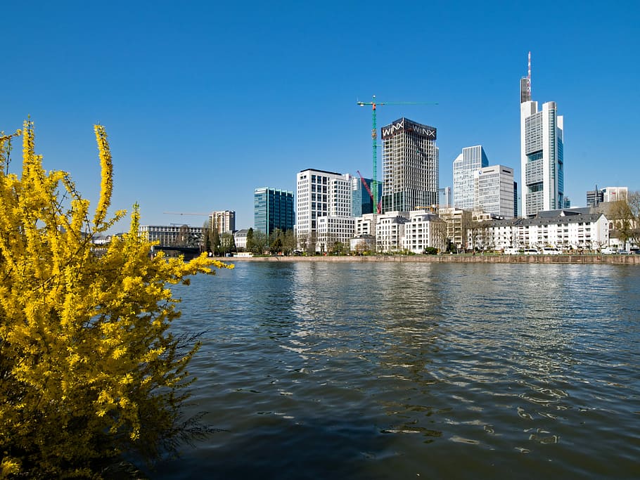 Frankfurt, Main, Hesse, Germany, main banks, skyscraper, architecture HD wallpaper