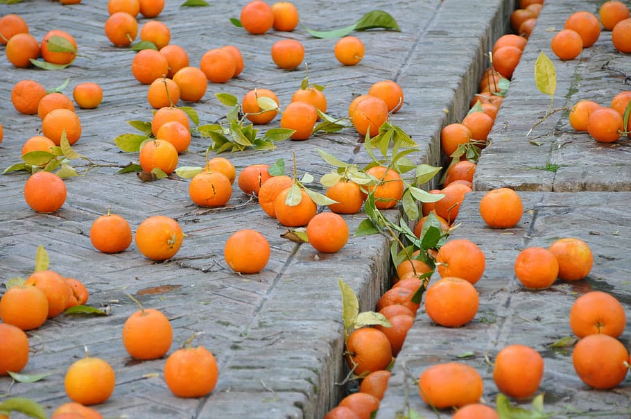 oranges, fruit, street, nature, food, orange Color, agriculture HD wallpaper
