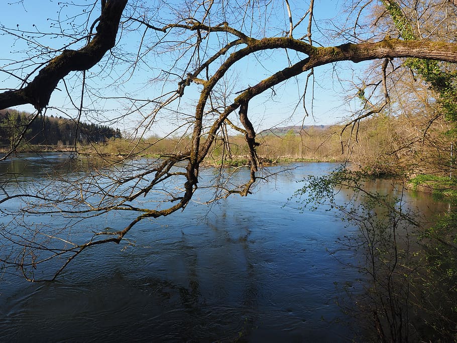 danube, river, gewaesse, landscape, tree, branch, idyllic, historically HD wallpaper