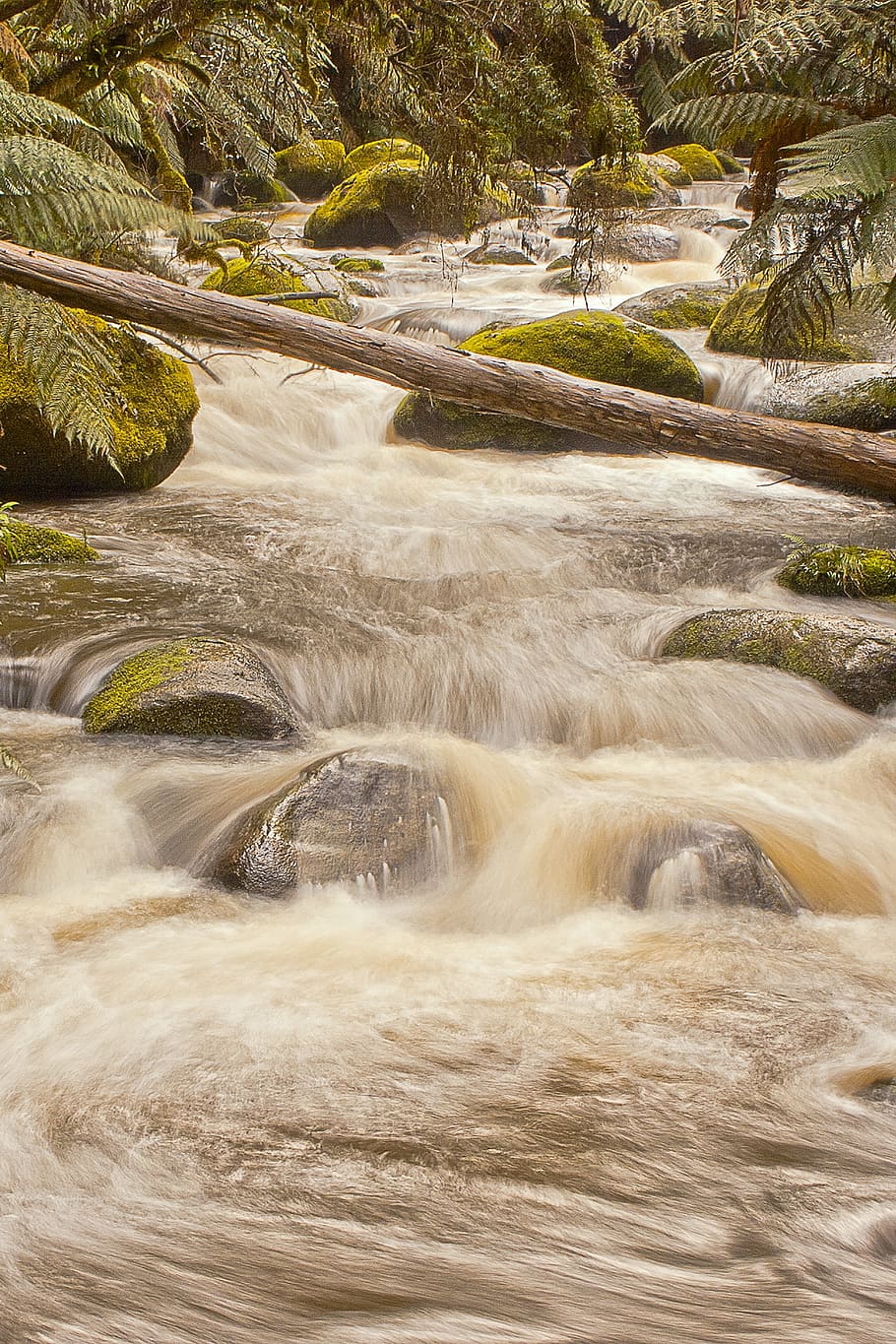 River, Flowing, Nature, stream, waterfall, forest, landscape HD wallpaper