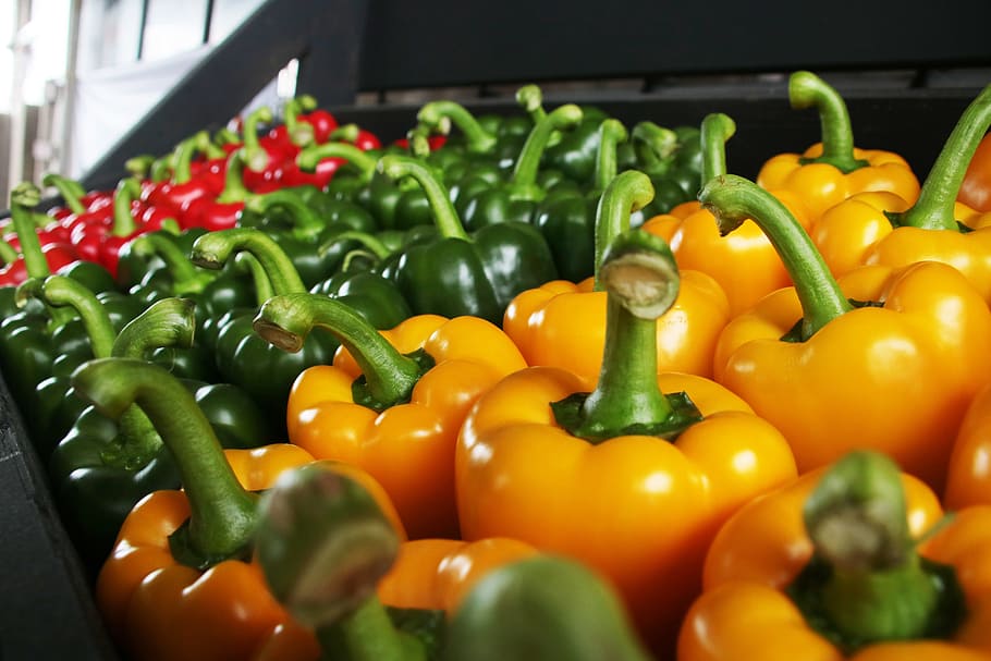 Paprika, Red, Green, Green, Orange, Vegetable, food, healthy HD wallpaper
