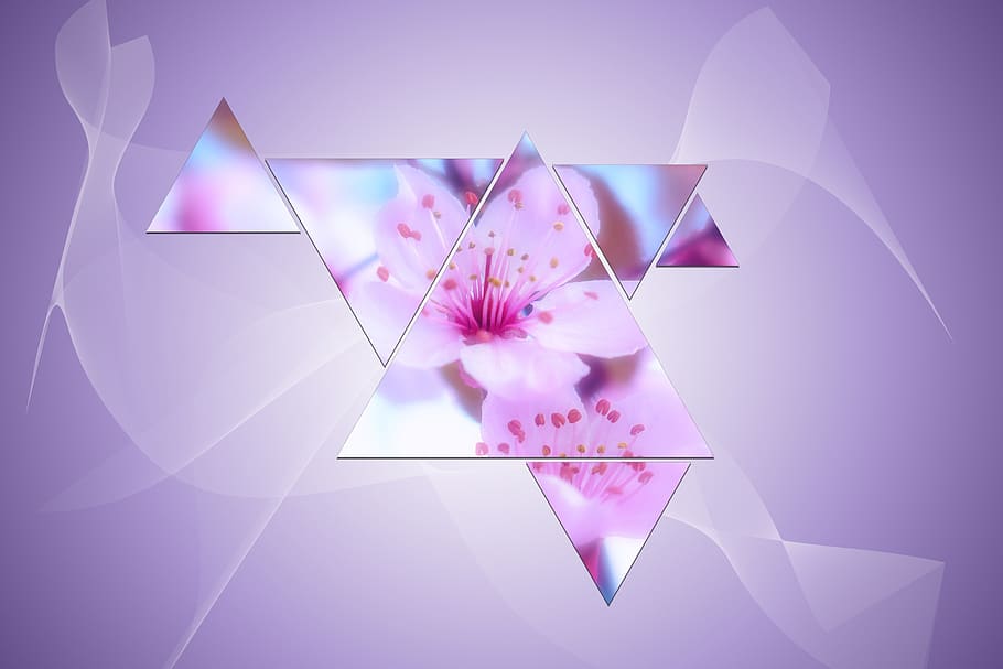 background, triangle, abstract, form, pattern, pink color, no people HD wallpaper
