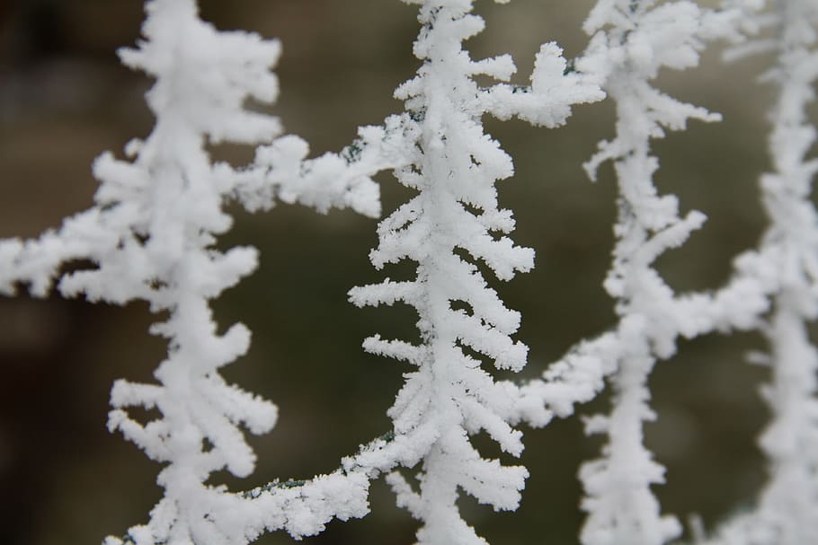 winter, snow, icing, fence, nature, miracle, cold temperature HD wallpaper