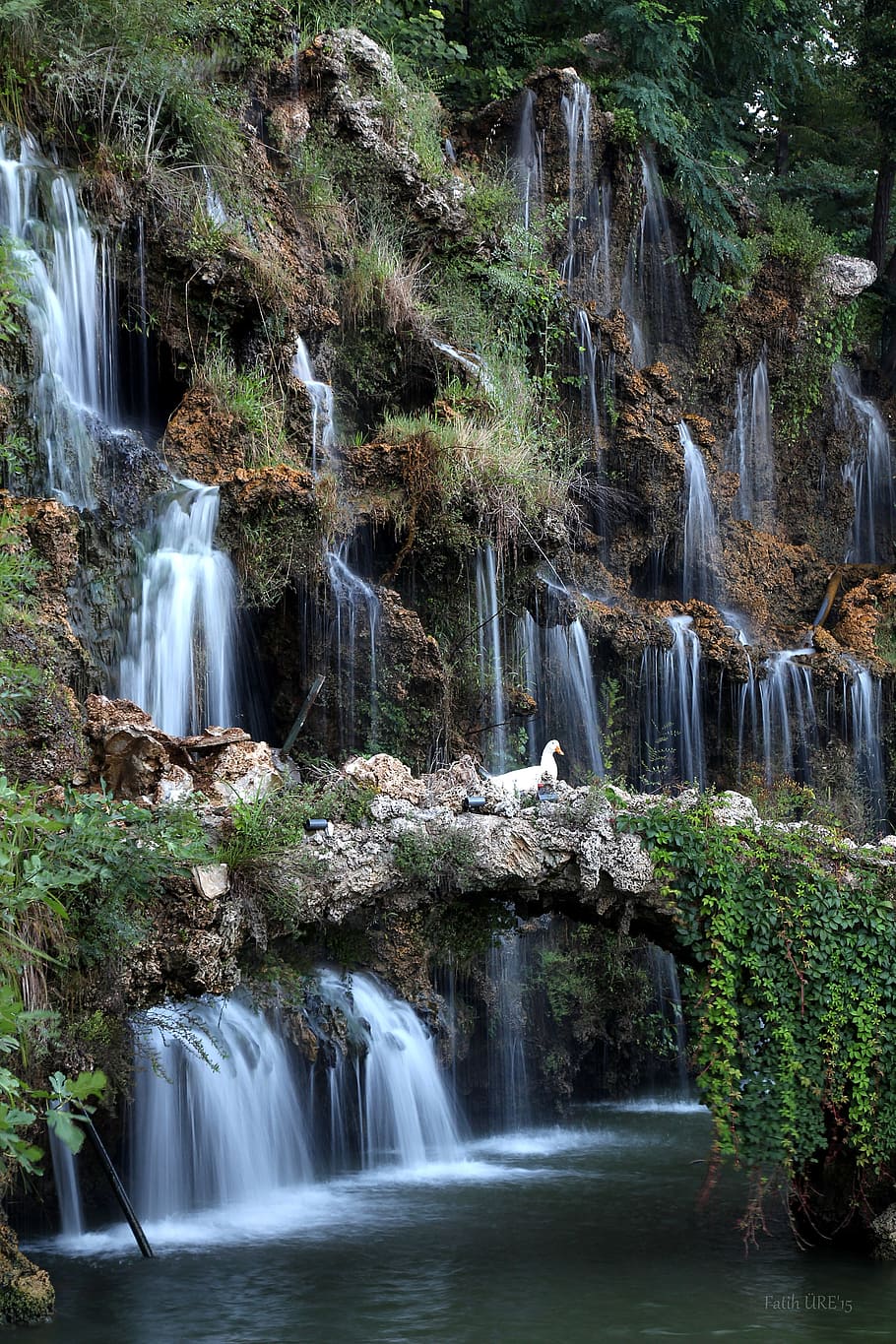 waterfall, duck, swan, view, landscape, park, istanbul, scenics - nature HD wallpaper