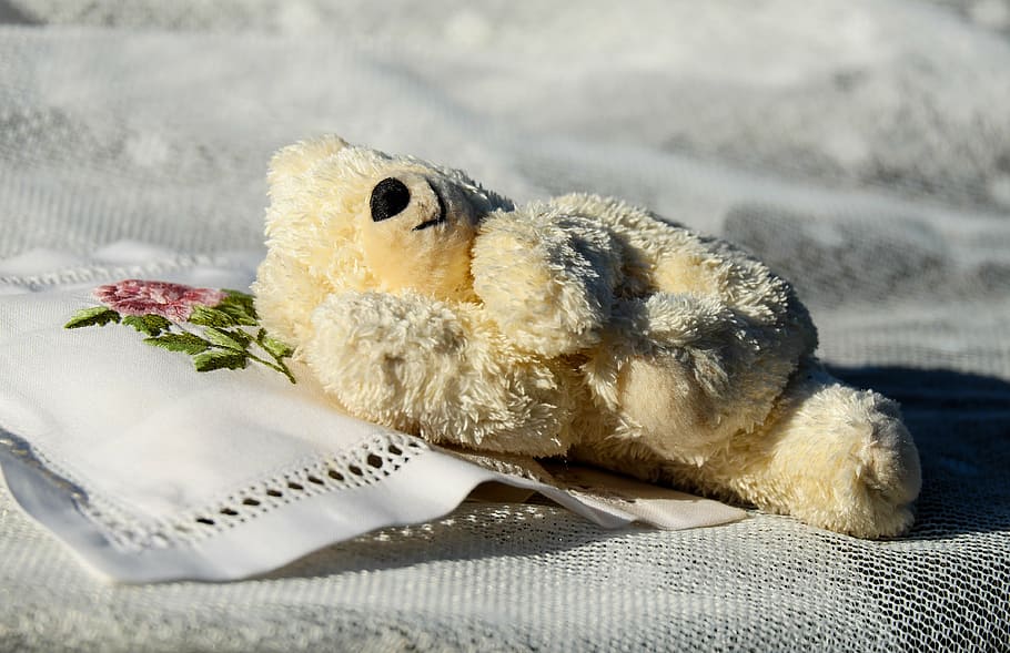 yellow bear plush toy on white handkerchief, teddy, bears, pillow HD wallpaper
