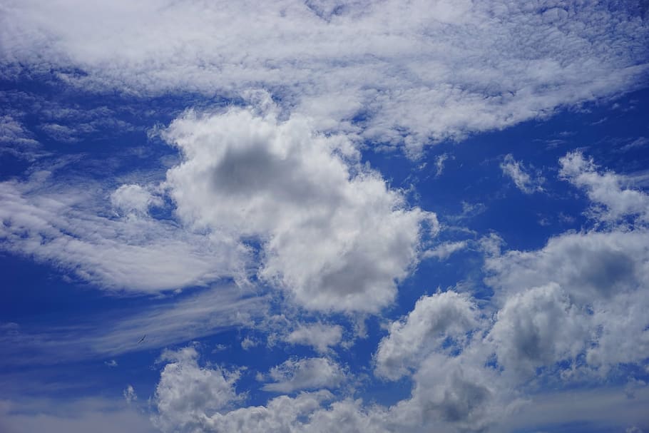 clouds, cloud formations, sky, blue, white, cloudscape, atmosphere HD wallpaper