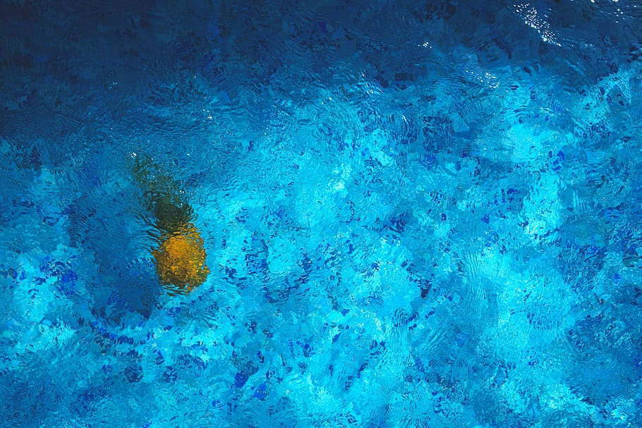 photo of body of water, blue, fruit, golden, pineapple, pool HD wallpaper