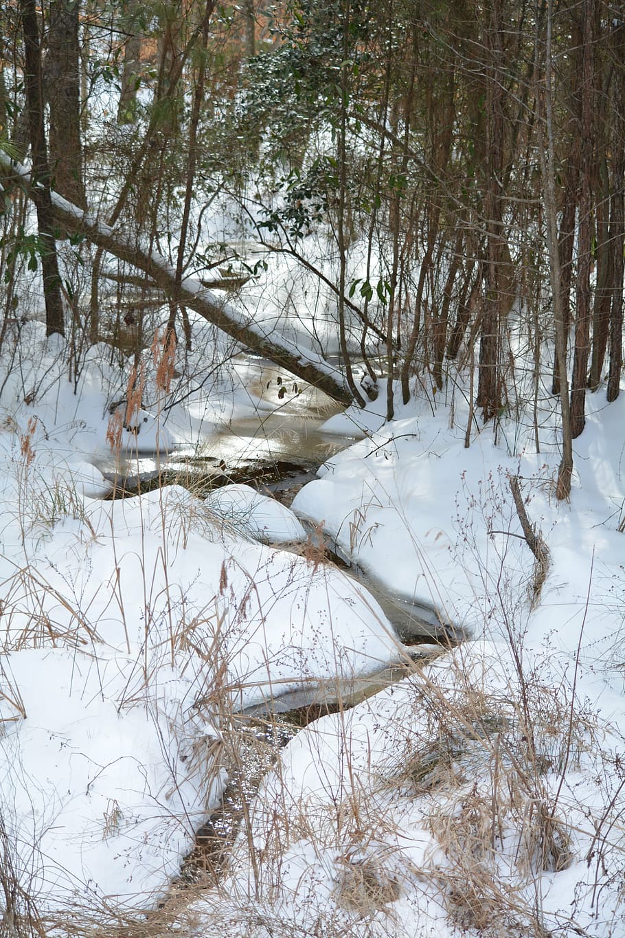 creek, winter, forest, scenic, nature, ice, outdoor, cold, flowing HD wallpaper