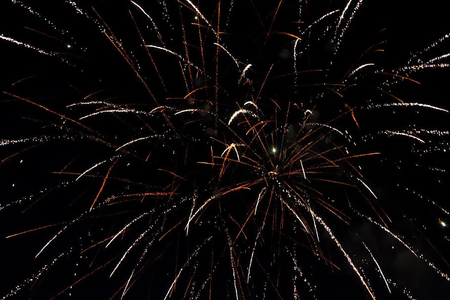 fireworks, festival, night, illuminated, firework display, celebration HD wallpaper