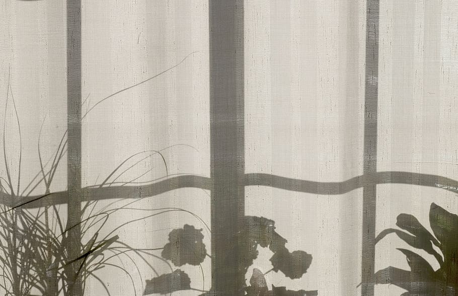 house, home, plants, curtain, window, shadow, textile, day HD wallpaper
