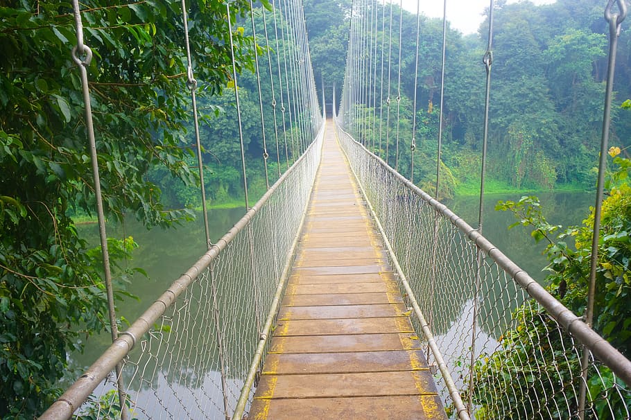 brown and gray bridge, hanging bridge, river bridge, walking bridge HD wallpaper