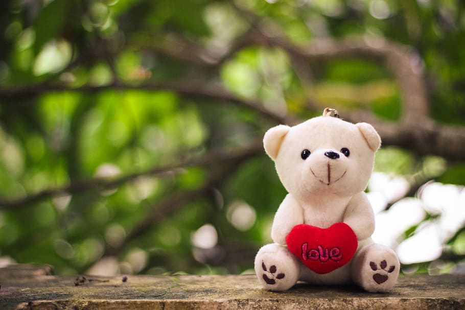 photo of white bear with heart plush toy on brown surface, Bokeh HD wallpaper