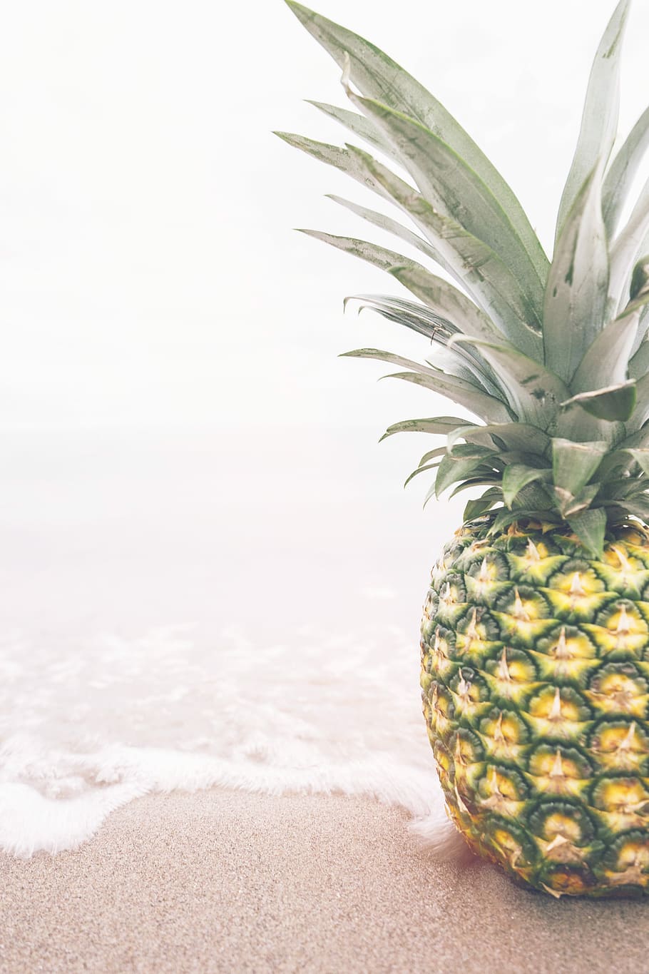 photo of pineapple on top of beach sand and water, fruit, food HD wallpaper