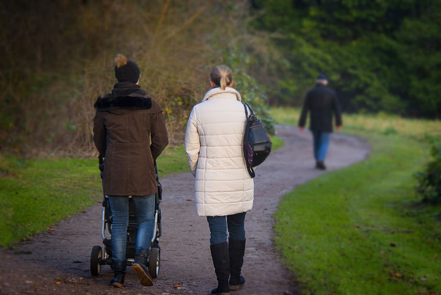 evolution, life, address, path, walk, walking, calm, park, route HD wallpaper