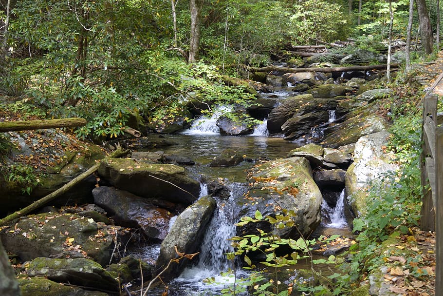 water, stream, nature, river, wood, moss, waterfall, rock, leaf HD wallpaper