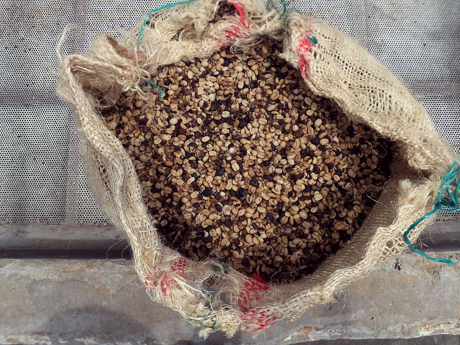 Coffee, Beans, Finka, Import, Drink, delicious, coffee beans HD wallpaper