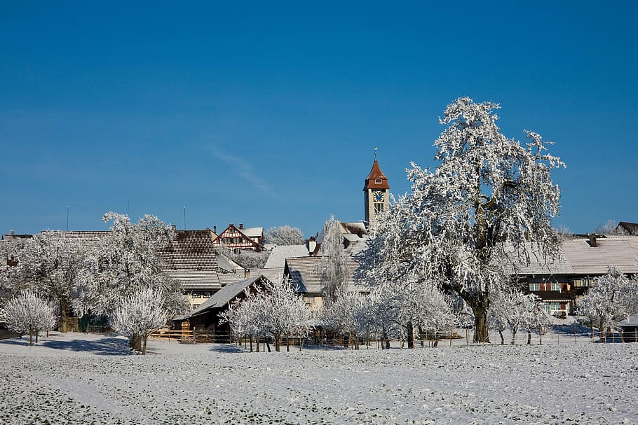 winter, snow, trees, brütten, wintry, winter magic, nature HD wallpaper