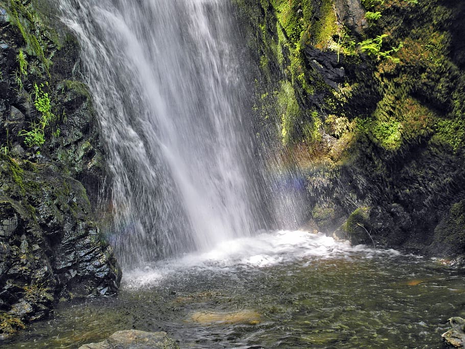 Waterfall, Rainbow, Frisch, Cool, refreshment, black forest HD wallpaper