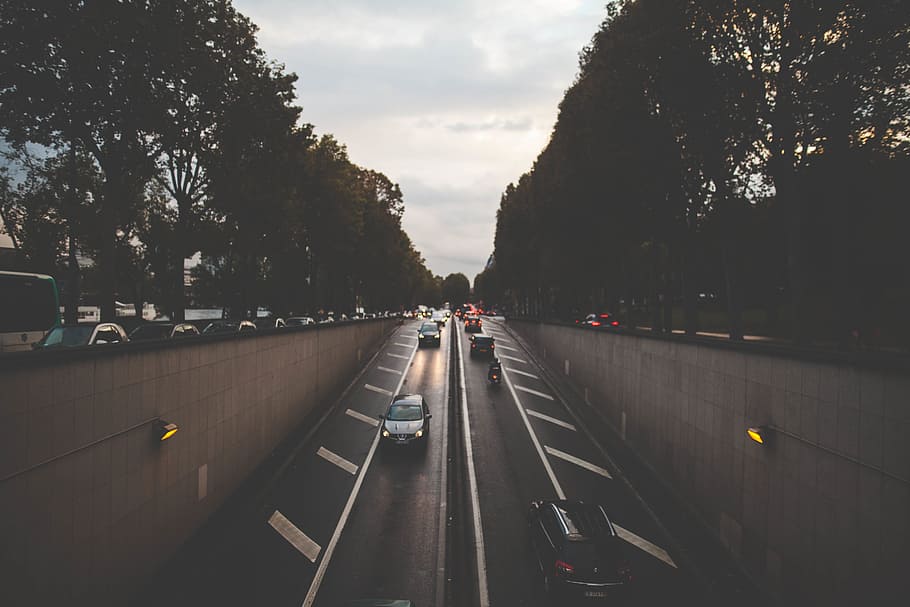 road, car, bus, transportation, vehicle, street, trees, lights HD wallpaper