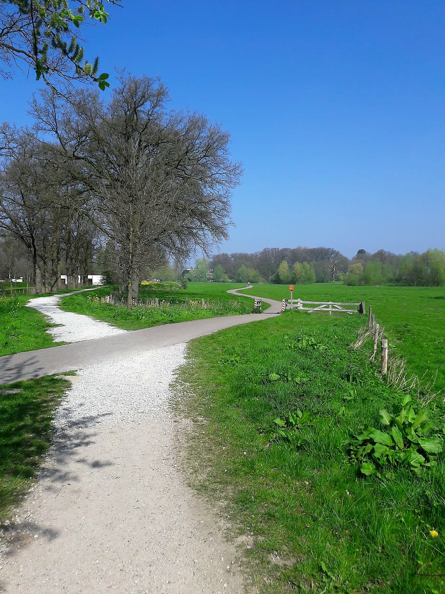 path, summer, nature, green, landscape, choose, blue, trees HD wallpaper