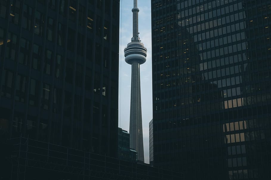 CN tower near high rise buildings during daytime, city, skyscraper HD wallpaper