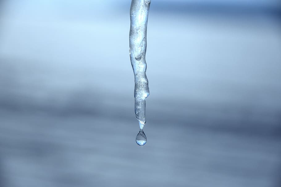 Ice, Icicle, Melt, Winter, Frozen, Cold, water, purity, drop HD wallpaper