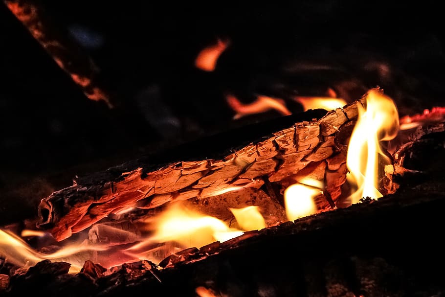 coal, firewood, heat, calls, blaze, incandescent, burn, burning HD wallpaper