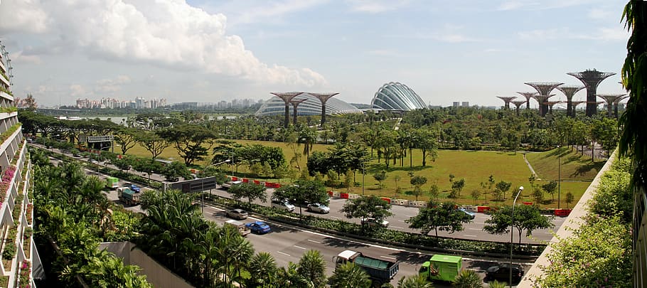singapore, gardens by the bay, botanical, park, tourism, built structure, HD wallpaper
