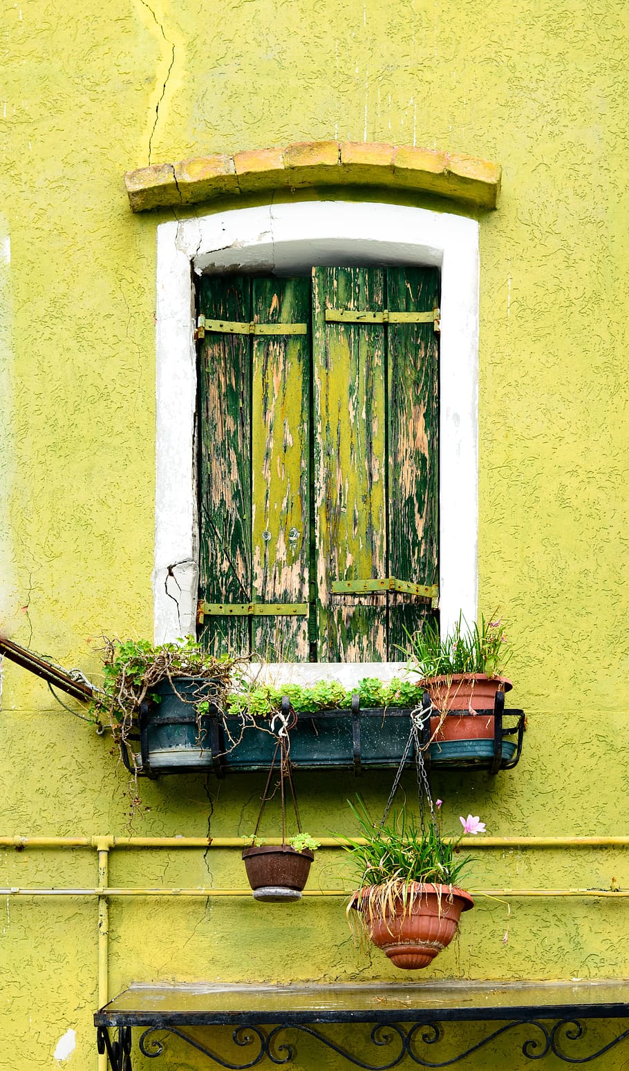 white and black wooden window on yellow concrete wall, green window