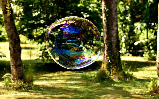 close up photo of bubble near trees, polarized, soap bubble HD wallpaper