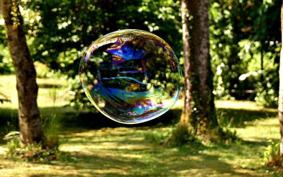 close up photo of bubble near trees, polarized, soap bubble HD wallpaper