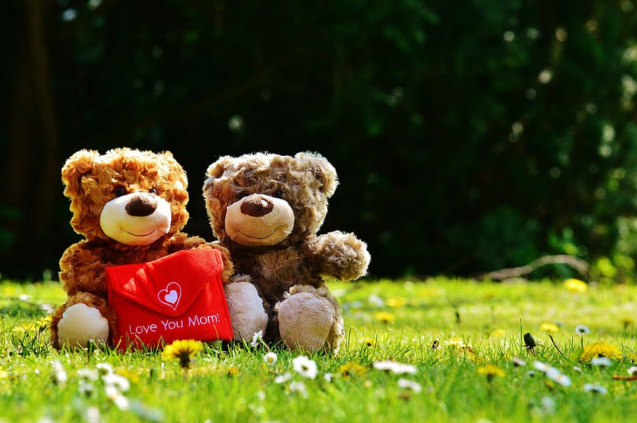 two brown bear plush toys on green grass, teddy, mother's day, HD wallpaper