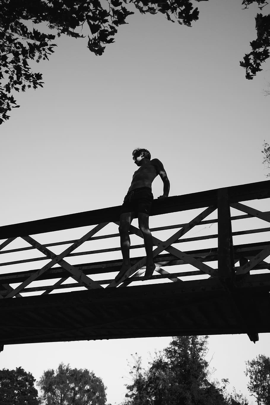 bridge, infrastructure, trees, plants, nature, outdoor, people HD wallpaper