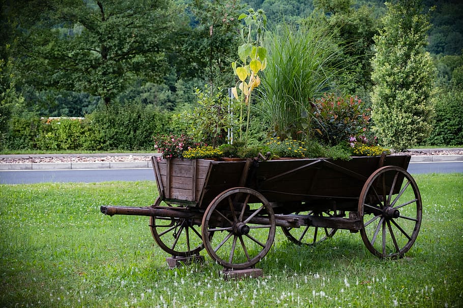 photo of brown wheelbarrow filled with plants, Dare, Coach, Wagon