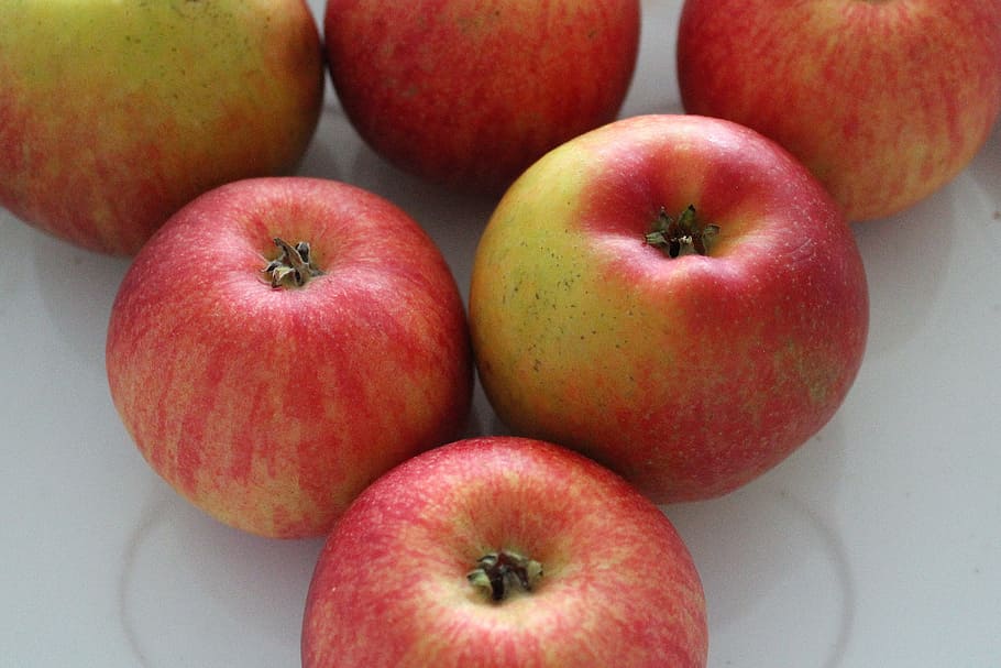 apples, fruit, vitamins, red, nature, healthy food, fresh, eco-friendly HD wallpaper