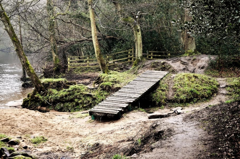 woods, path, bridge, seasons, autumn, spring, trip, nature HD wallpaper
