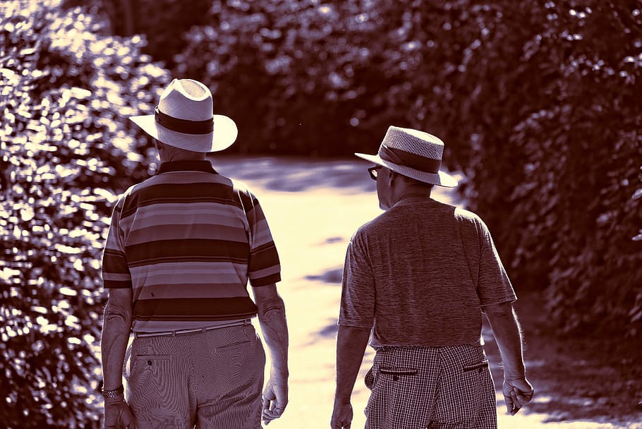 man, person, two men, walking, hat, straw hat, headgear, together HD wallpaper