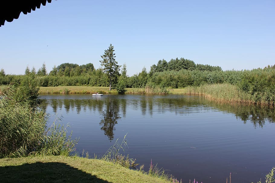masuria, lake, summer, water, plant, tree, tranquility, tranquil scene HD wallpaper
