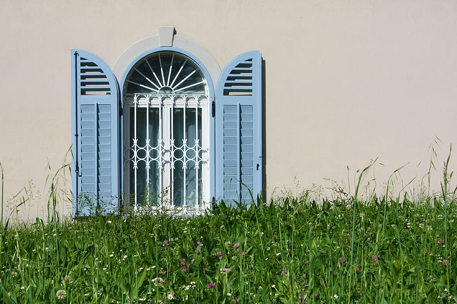 green grass near brown wall, window, house, architecture, plant HD wallpaper