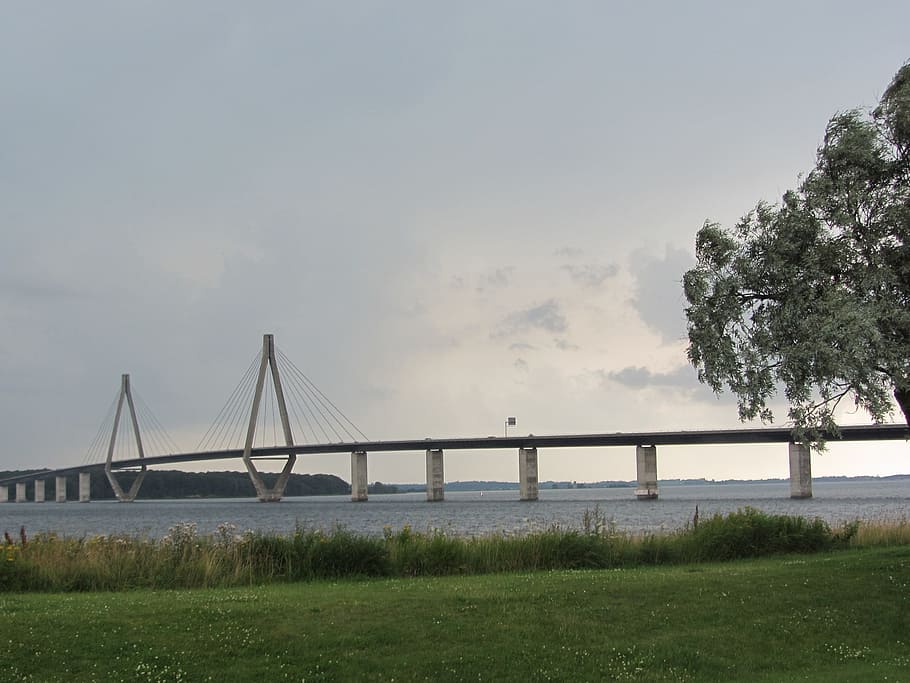 denmark, bridge, road, scandinavia, travel, architecture, plant HD wallpaper
