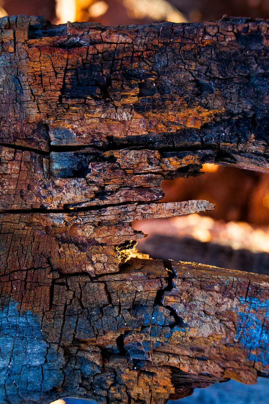abstract, burnt, blue, red, plank, carbon, textured, nature HD wallpaper