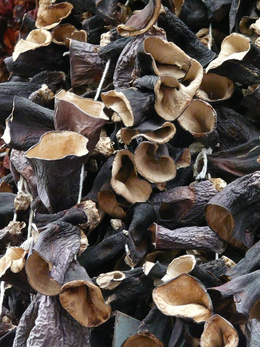 mushrooms, dried, judas ears, dried mushrooms, mu err, china morel, HD wallpaper