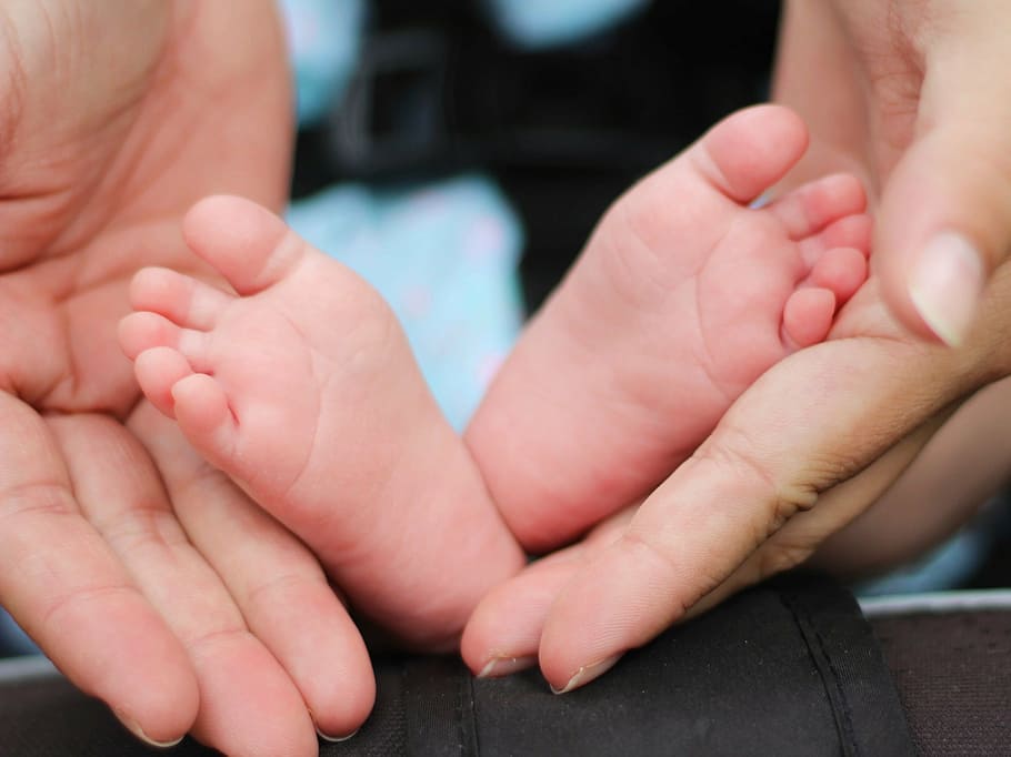 person holding baby's feet, baby feet, child, fingers, hands, HD wallpaper