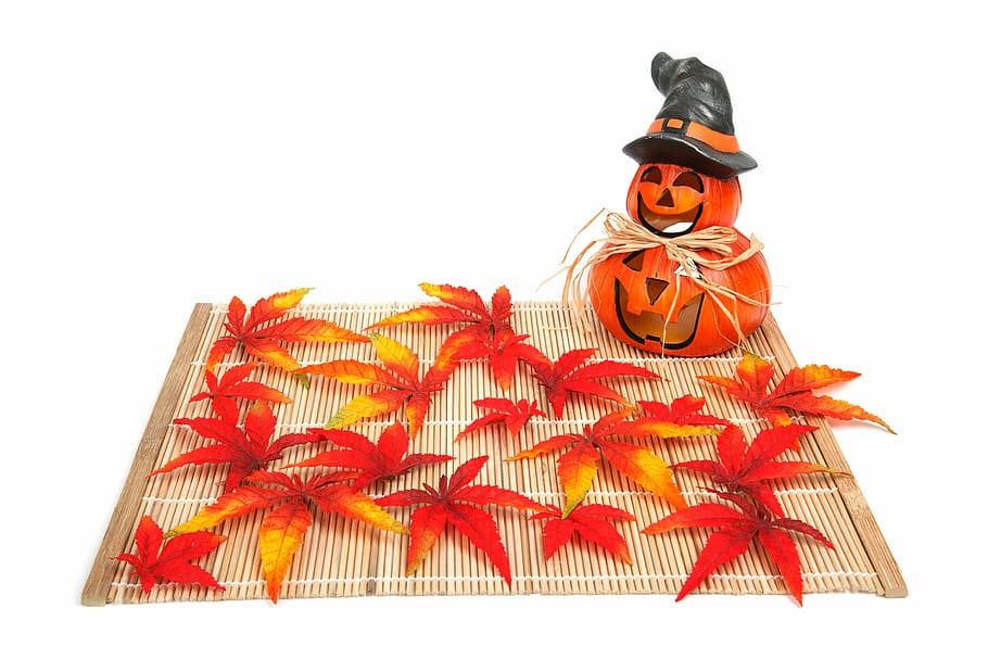 autumn, decoration, fall, funny, halloween, head, holiday, isolated HD wallpaper