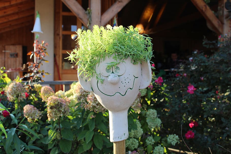 face, decoration, funny, gartendeko, flower, outdoors, nature HD wallpaper