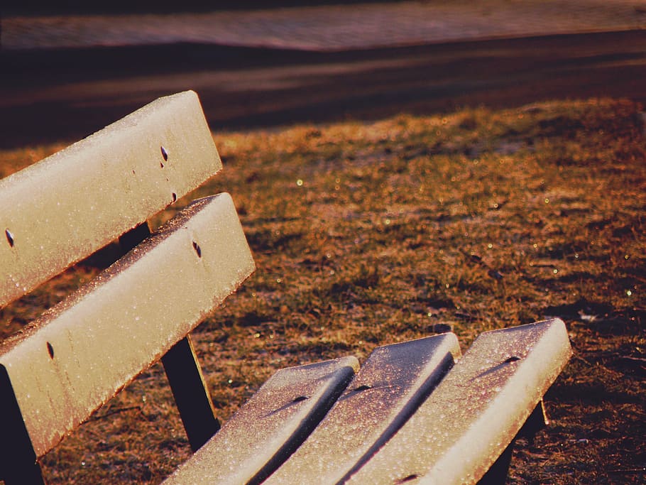 bench, park, lawn, park bench, outdoors, food, close-up, no people HD wallpaper